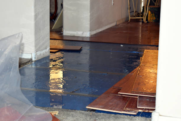Professional Emergency Water Damage Restoration technician working in Freeport, TX